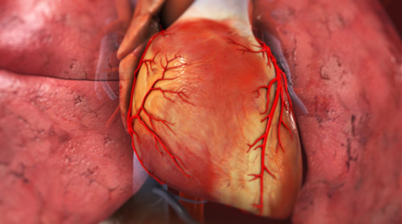 Cardiovascular Library Thumbnail