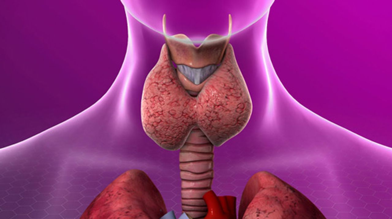 Endocrinology Library Thumbnail