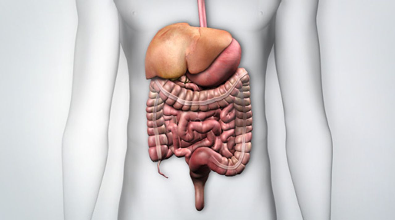 Gastrointestinal Library Thumbnail