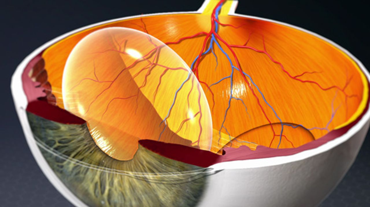 Ophthalmology Library Thumbnail