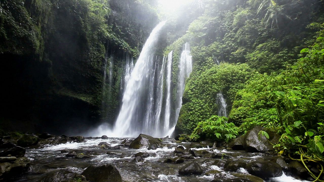 Relaxation Library Thumbnail